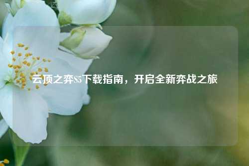 云顶之弈S5下载指南，开启全新弈战之旅