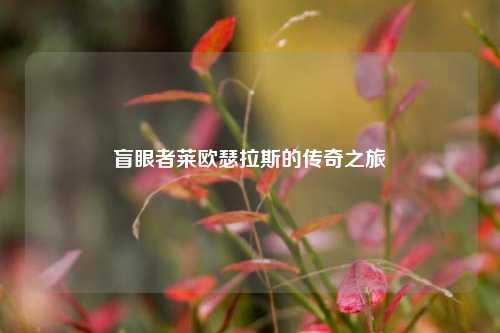 盲眼者莱欧瑟拉斯的传奇之旅
