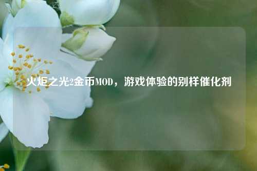 火炬之光2金币MOD,游戏体验的别样催化剂