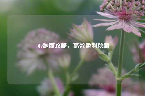 109跑商攻略，高效盈利秘籍
