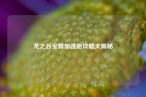 龙之谷坐骑加速跑攻略大揭秘