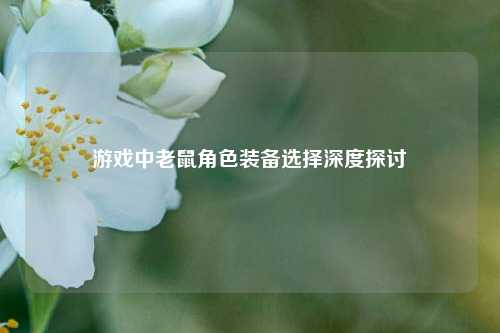 游戏中老鼠角色装备选择深度探讨