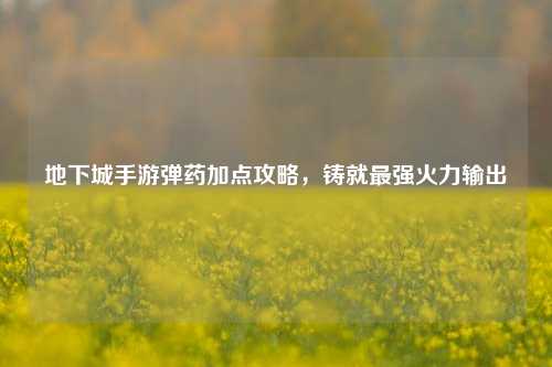 地下城手游弹药加点攻略，铸就最强火力输出