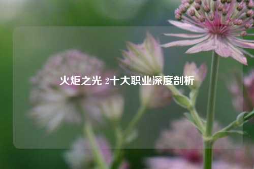火炬之光 2十大职业深度剖析