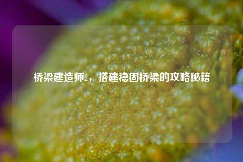 桥梁建造师2,搭建稳固桥梁的攻略秘籍