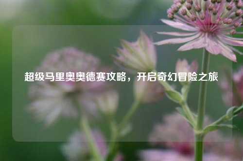 超级马里奥奥德赛攻略，开启奇幻冒险之旅