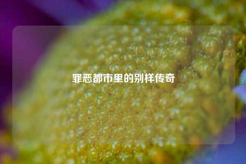 罪恶都市里的别样传奇