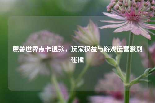 魔兽世界点卡退款，玩家权益与游戏运营激烈碰撞