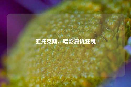 亚托克斯，暗影复仇狂魂