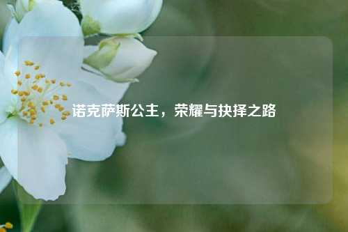 诺克萨斯公主，荣耀与抉择之路