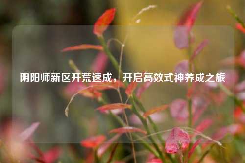 阴阳师新区开荒速成，开启高效式神养成之旅
