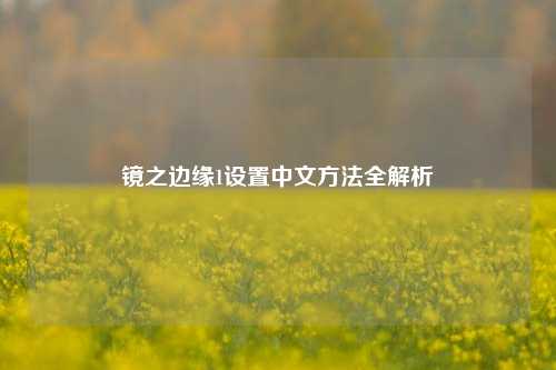 镜之边缘1设置中文方法全解析