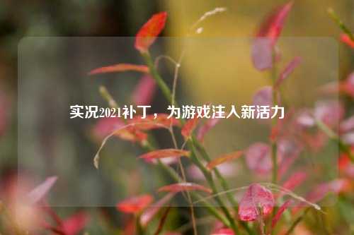 实况2021补丁，为游戏注入新活力