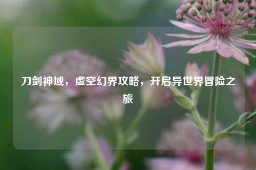 刀剑神域,虚空幻界攻略,开启异世界冒险之旅