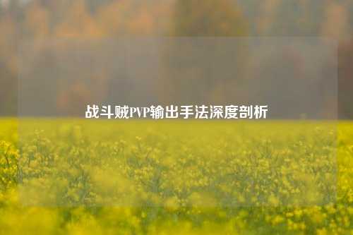 战斗贼PVP输出手法深度剖析