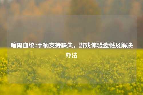 暗黑血统2手柄支持缺失，游戏体验遗憾及解决办法