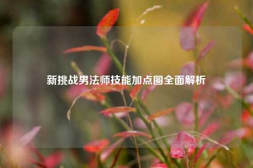 新挑战男法师技能加点图全面解析