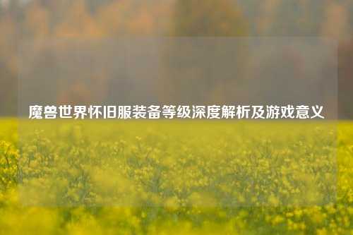 魔兽世界怀旧服装备等级深度解析及游戏意义