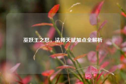 巫妖王之怒，法师天赋加点全解析
