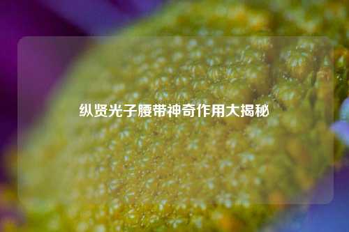 纵贤光子腰带神奇作用大揭秘