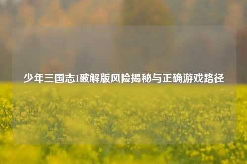 少年三国志1破解版风险揭秘与正确游戏路径