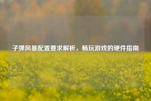 子弹风暴配置要求解析，畅玩游戏的硬件指南