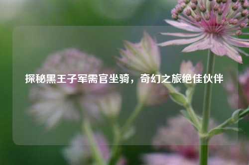 探秘黑王子军需官坐骑，奇幻之旅绝佳伙伴