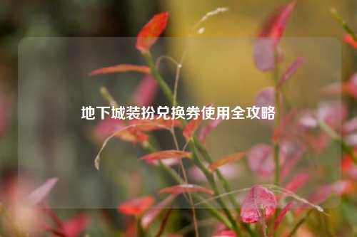 地下城装扮兑换券使用全攻略