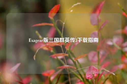 Exagear版三国群英传3下载指南